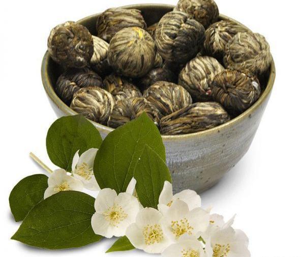 عکس گل جاسمین