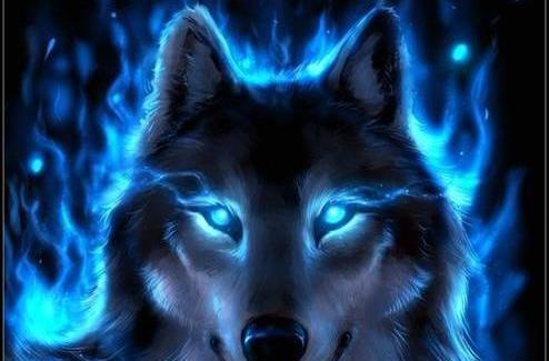 عکس گرگ پسرانه