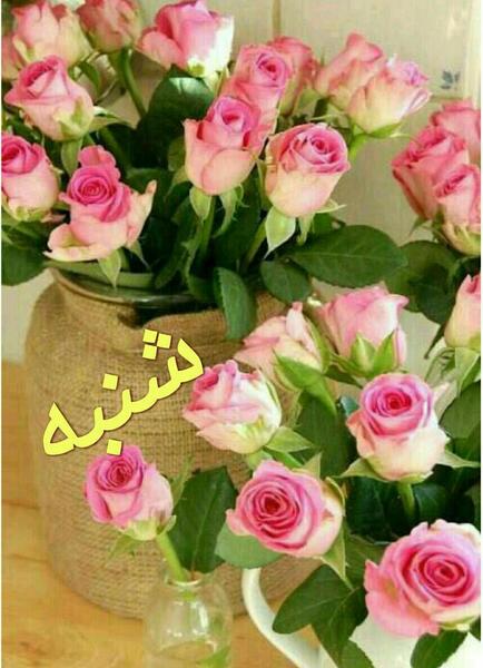 عکس زیبای متحرک صبح بخیر