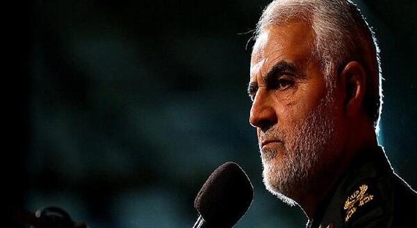 عکس دانیال سلیمانی