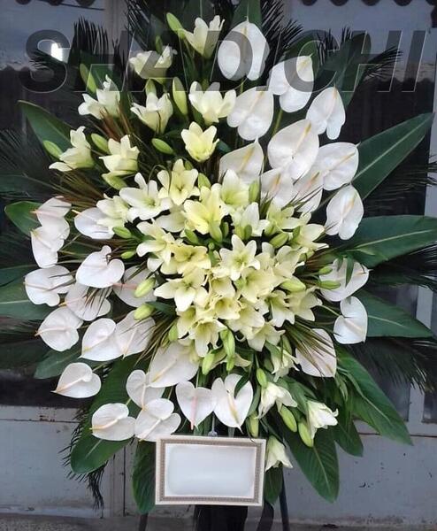 عکس دسته گل ایستاده