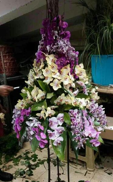 عکس دسته گل ایستاده