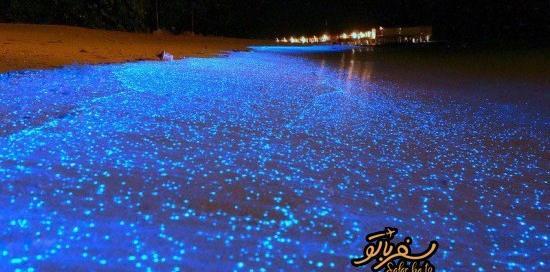 عکس دریا ژاپن