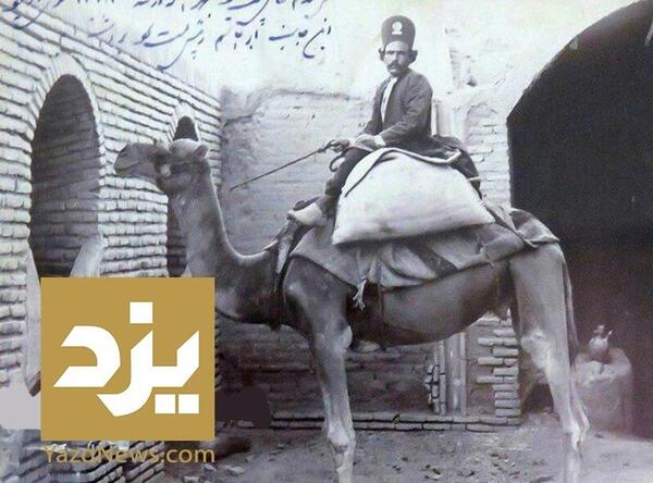 عکس حیوانات یزد