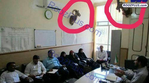 عکس حیوانات یزد