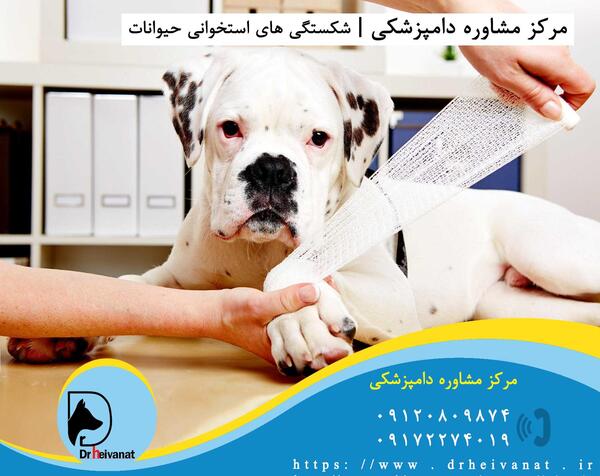 عکس حیوانات یزد
