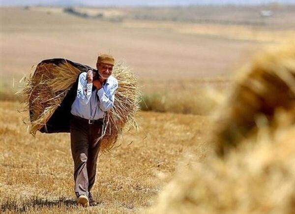 عکس مهران کشاورز