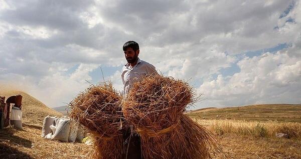 عکس مهران کشاورز