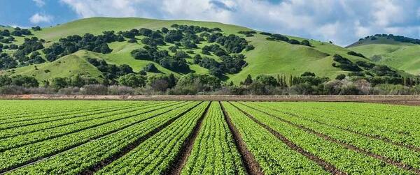 عکس هوایی زمین کشاورزی