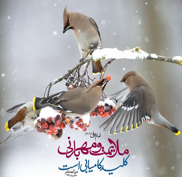 عکس نوشته حدیث مهربانی