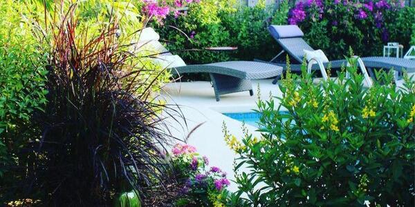 عکس ایده هایی برای طراحی حیاط خلوت