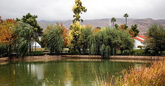 عکس از طبیعت شیراز