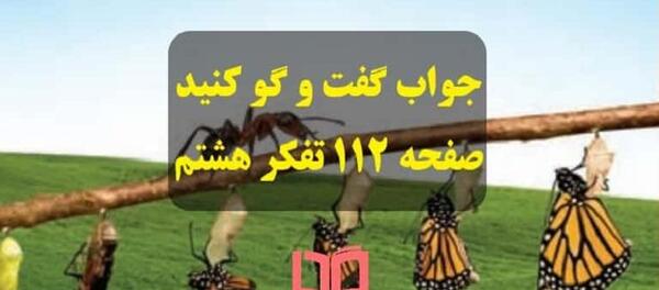 عکس زشت و زیبا برای تفکر هشتم