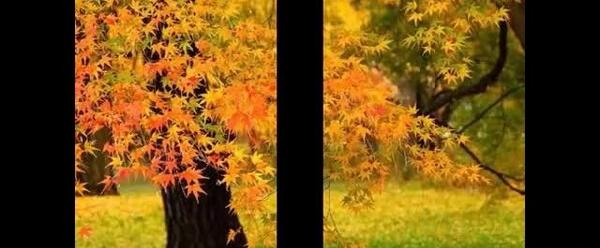 عکس زشت و زیبا برای تفکر هشتم