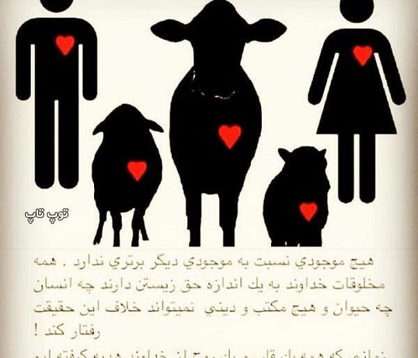 عکس قلب حیوان