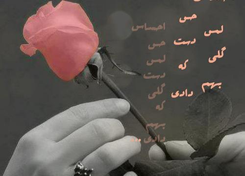 عکس تصاویر گلهای زیبا همراه با متن