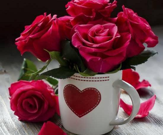 عکس تصاویر گلهای زیبا همراه با متن