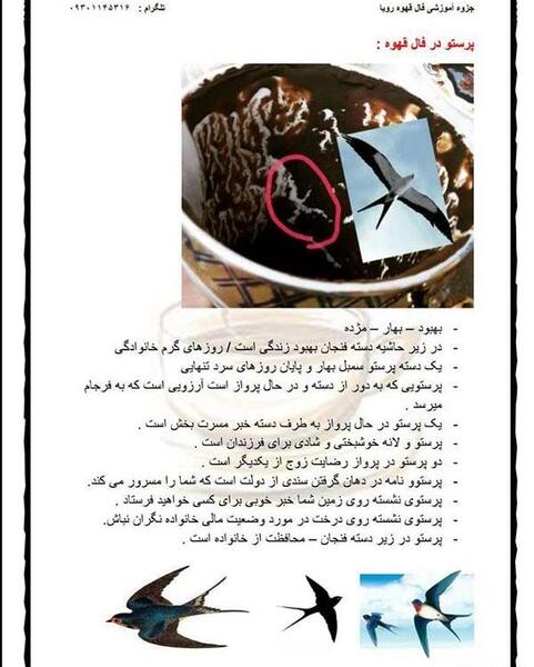عکس فال قهوه حرفه ای