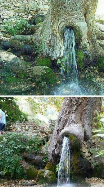 عکس باران چشمه