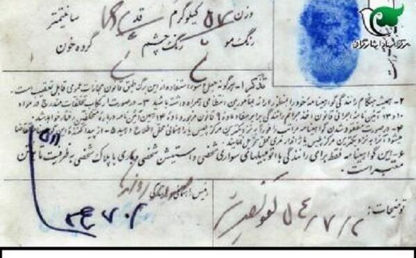 عکس زهرا جلیل زاده