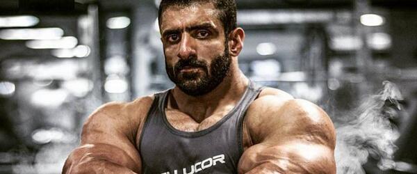 عکس فیل هیث 2019