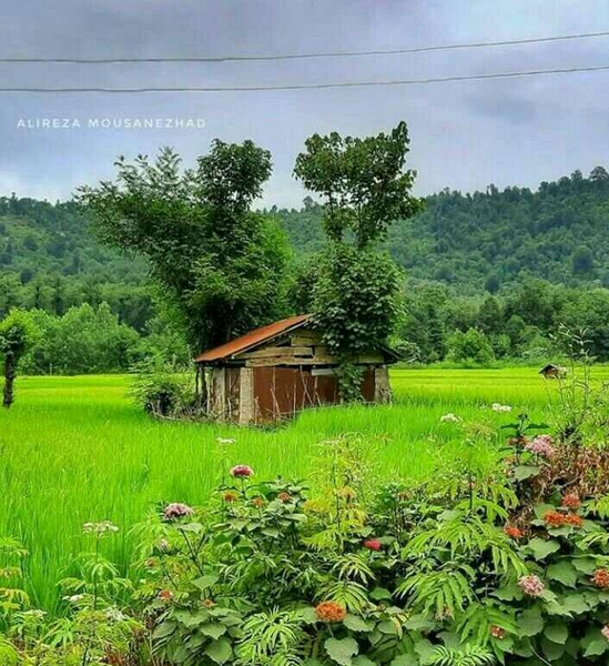 عکس طبیعت ایران شمال