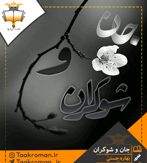 عکس بهاره حسنی نویسنده