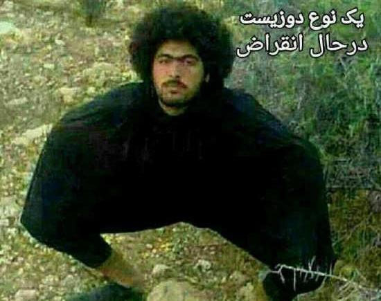 عکس جالب