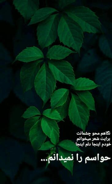 عکس استوری شعر
