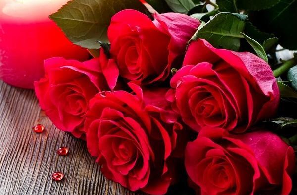 عکس گلهای زیبا همراه با نوشته