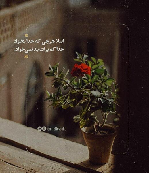 عکس مفهومی خداوند
