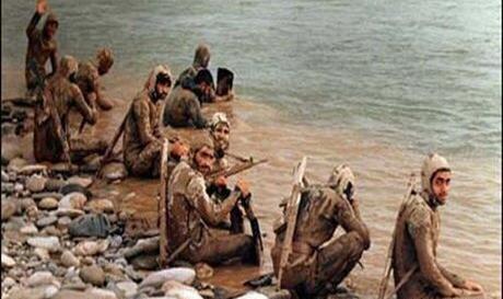 عکس گرگ آسمان