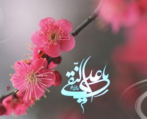 عکس تولد امام علی نقی