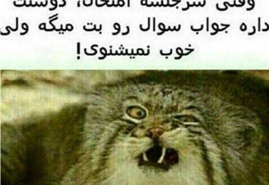 عکس خنده دار در مورد امتحانات