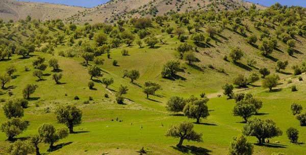 عکس طبیعت صالح آباد