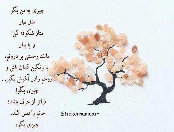 عکس نوشته شکوفه درخت
