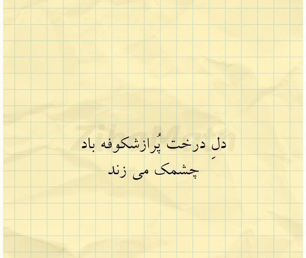 عکس نوشته شکوفه درخت