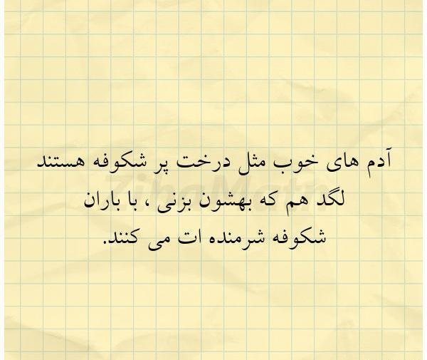 عکس نوشته شکوفه درخت