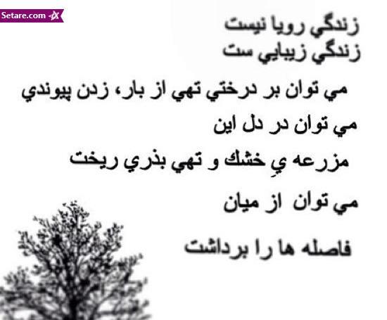 عکس نوشته شعر سیب حمید مصدق