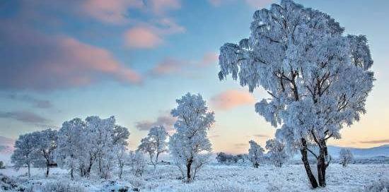 عکس پروفایل طبیعت زمستان جدید