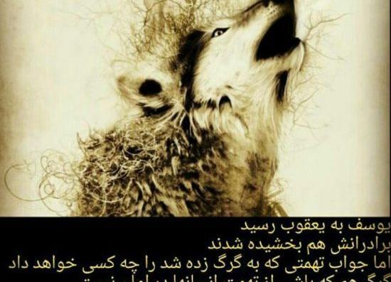 عکس آهو و گرگ