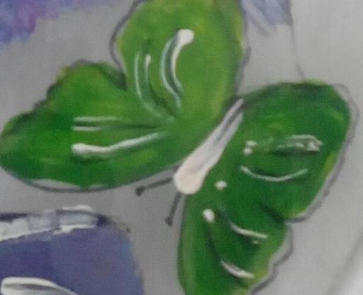 عکس پروانه نیم رخ