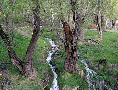 عکس از طبیعت های ایران