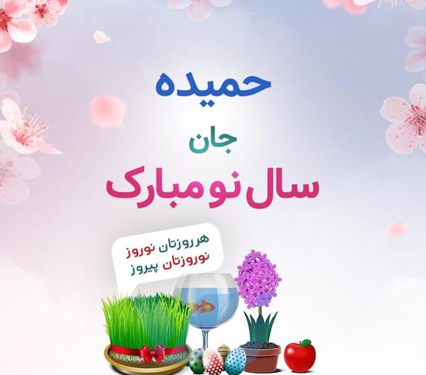 عکس حمیده نوروزی