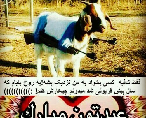عکس طنز عیدی