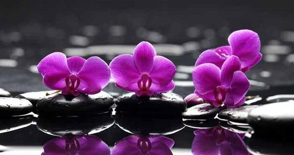 عکس های زیبا و دلنشین