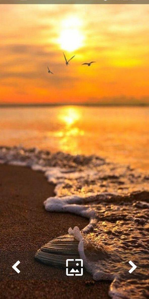 عکس دریا پس زمینه