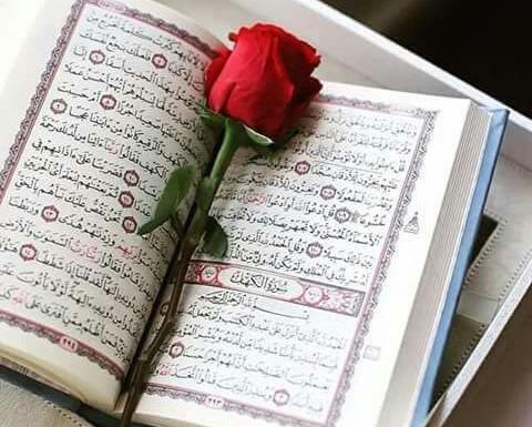 عکس کتاب قران برای پروفایل
