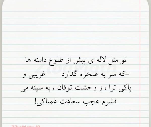 عکس نوشته ی لاله