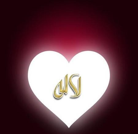 عکس نوشته ی لاله